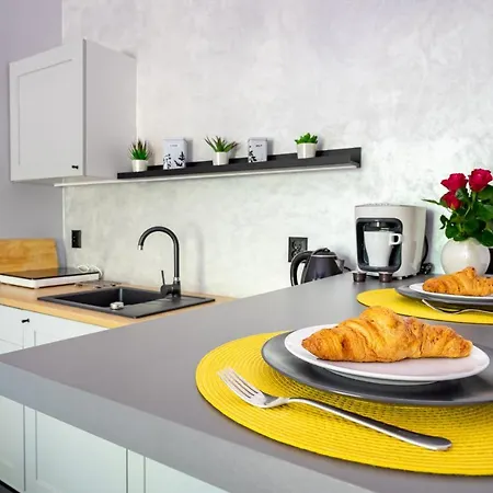Apartament Stylish In The Heart Of The City.